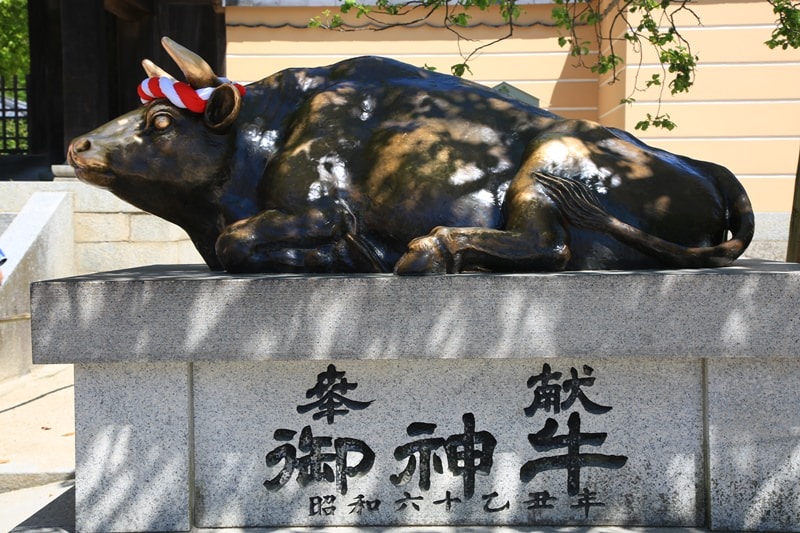 BX4A9056.jpg - 20150426:北九州-太宰府天滿宮、河內藤園