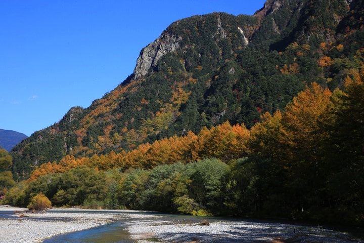 BX4A9564.JPG - 20151013-1017:秋戀黑部立山溫泉遊