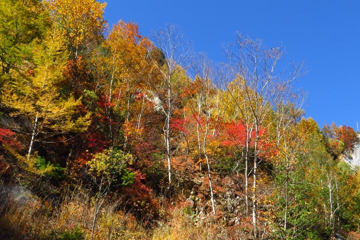 BX4A9646c.JPG - 20151013-1017:秋戀黑部立山溫泉遊