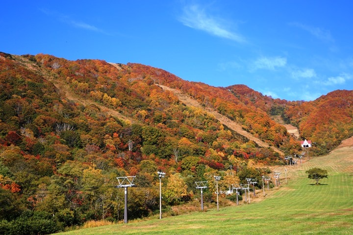 BX4A9564b.JPG - 20151013-1017:秋戀黑部立山溫泉遊