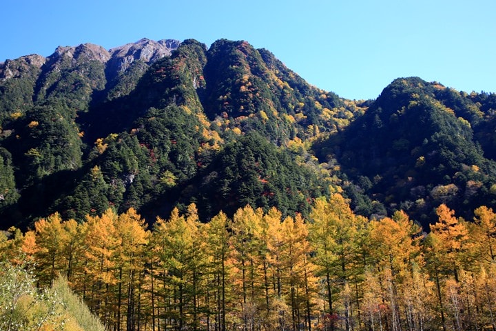 BX4A9498.JPG - 20151013-1017:秋戀黑部立山溫泉遊