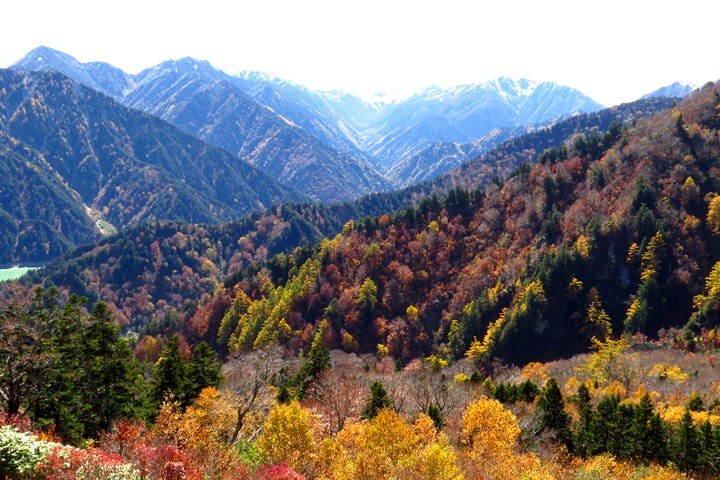 BX4A9654f.JPG - 20151013-1017:秋戀黑部立山溫泉遊