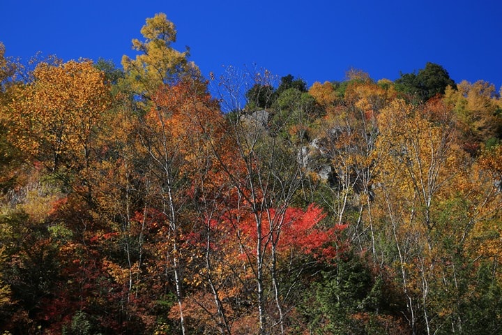 BX4A9644.JPG - 20151013-1017:秋戀黑部立山溫泉遊