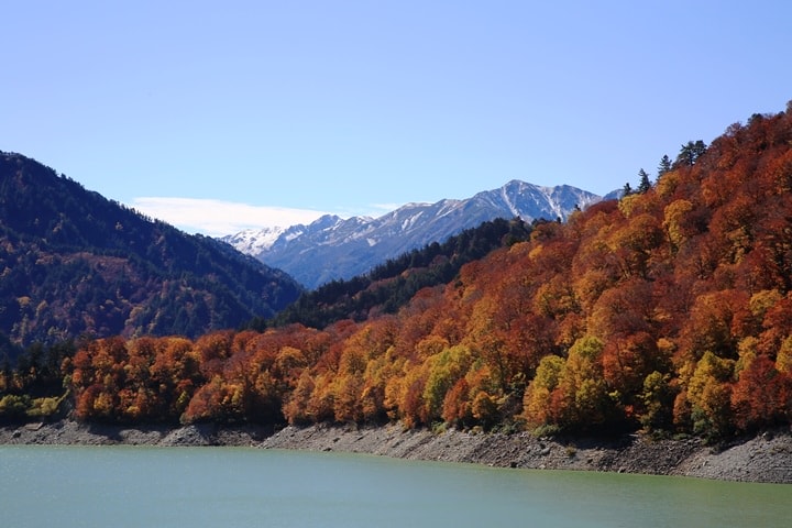 BX4A9636.JPG - 20151013-1017:秋戀黑部立山溫泉遊
