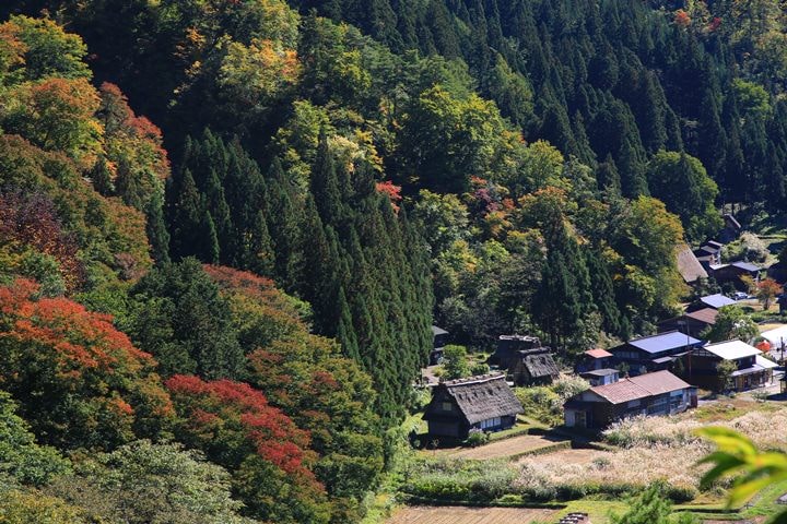 IMG_1003c.JPG - 20151013-1017:秋戀黑部立山溫泉遊