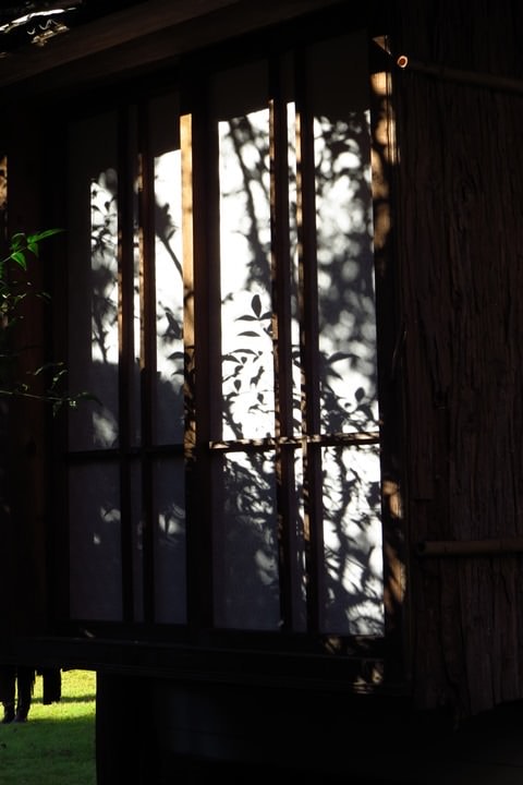 0IMG_0353.JPG - 20151014:下呂溫泉、岐阜高山市上三古町