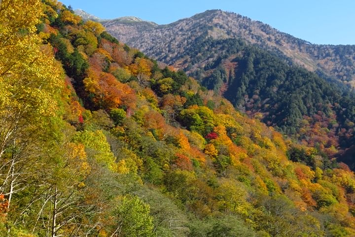 0IMG_0586.JPG - 20151015:黑部立山
