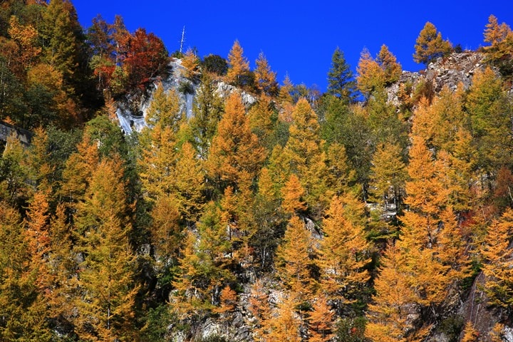 BX4A9643.JPG - 20151015:黑部立山