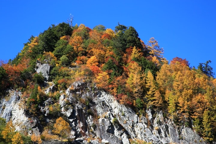 BX4A9634.JPG - 20151015:黑部立山