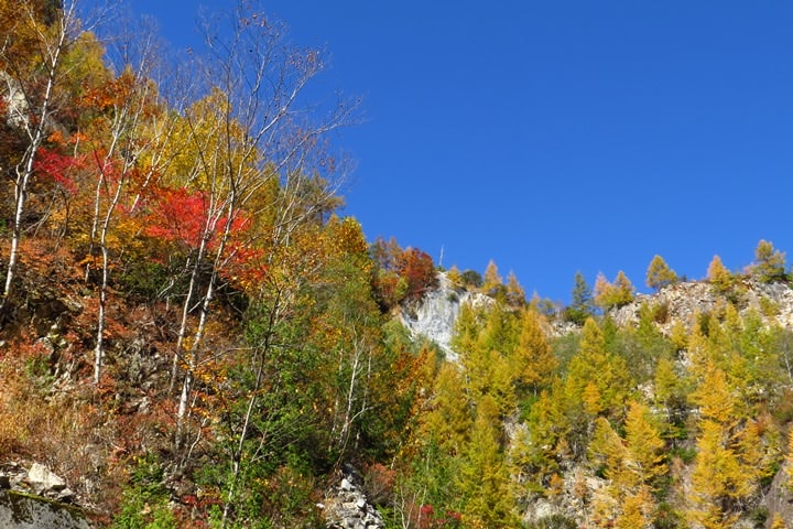 BX4A9646b.JPG - 20151015:黑部立山