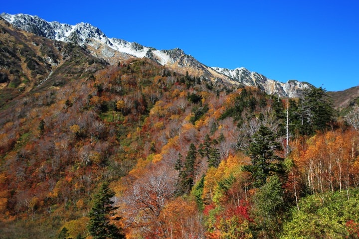 BX4A9656.JPG - 20151015:黑部立山