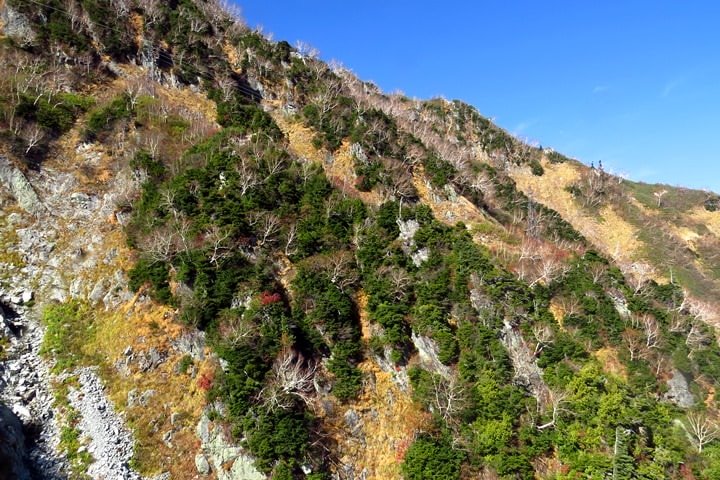 BX4A9685r.JPG - 20151015:黑部立山
