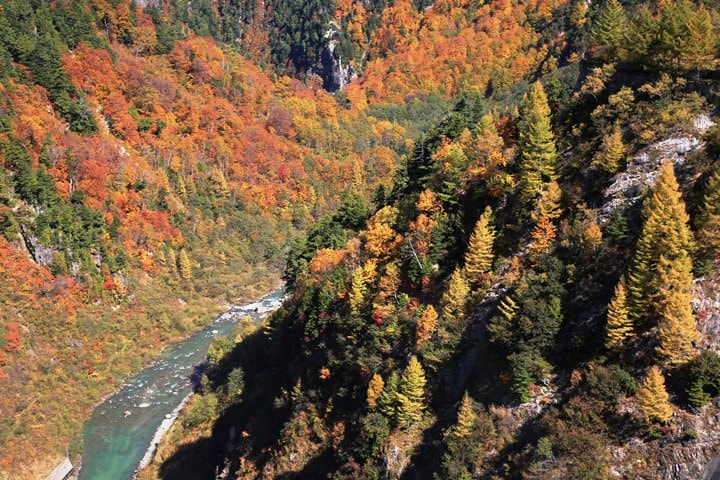 BX4A9629.JPG - 20151015:黑部立山