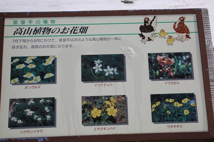 BX4A9702.JPG - 20151015:黑部立山