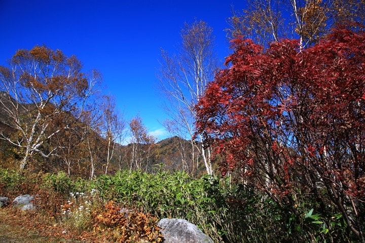 BX4A9684.JPG - 20151015:黑部立山