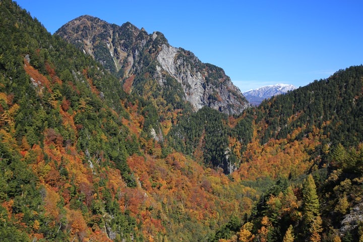 BX4A9630.JPG - 20151015:黑部立山