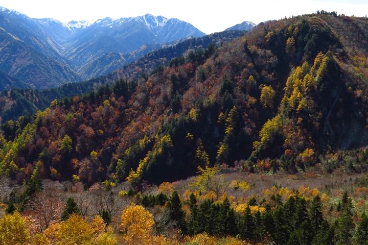 BX4A9672b.JPG - 20151015:黑部立山
