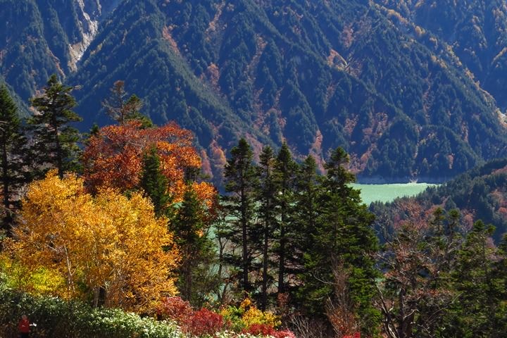BX4A9672a.JPG - 20151015:黑部立山