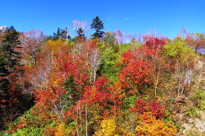 BX4A9685c.JPG - 20151015:黑部立山