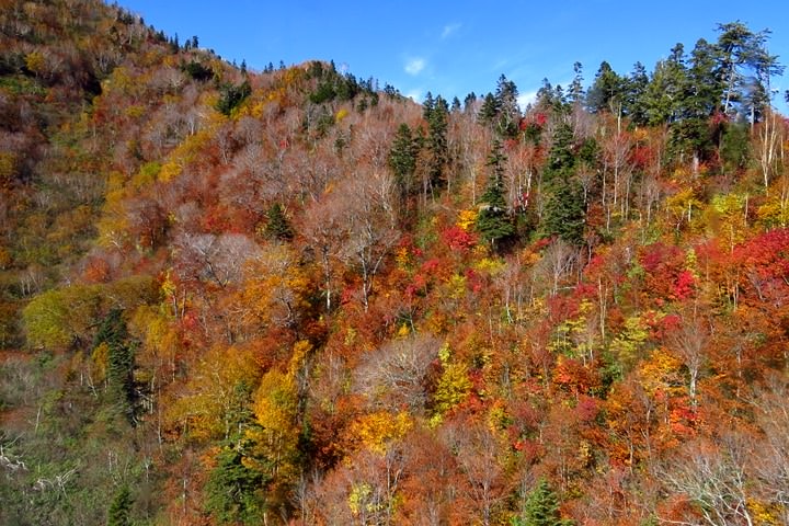BX4A9685d.JPG - 20151015:黑部立山