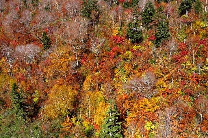 BX4A9685e.JPG - 20151015:黑部立山