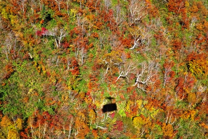 BX4A9685n.JPG - 20151015:黑部立山