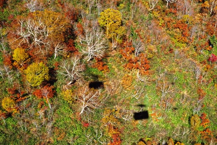 BX4A9685o.JPG - 20151015:黑部立山