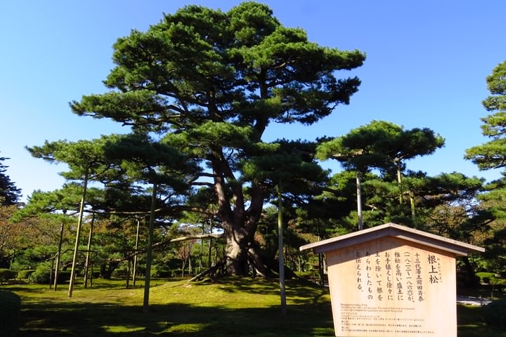 IMG_0902.JPG - 20151016:金澤兼六園