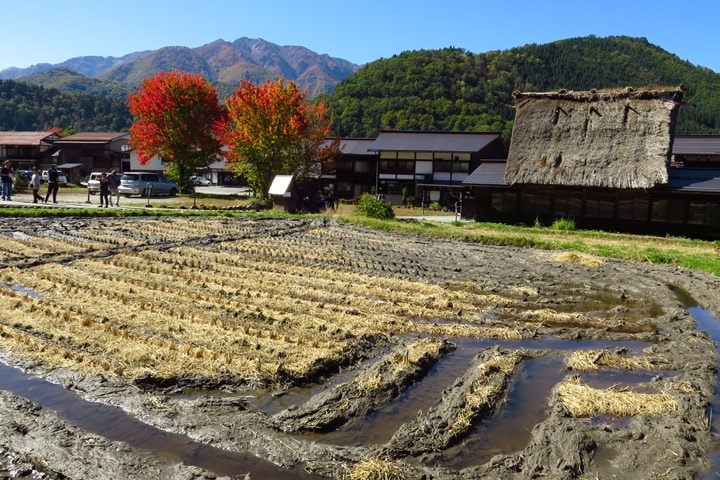 IMG_0974.JPG - 20151016:白川鄉合掌屋
