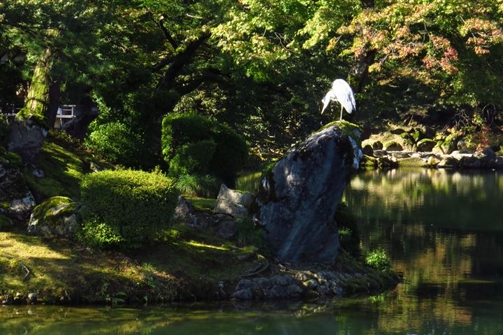 IMG_0891.JPG - 20151016:金澤兼六園