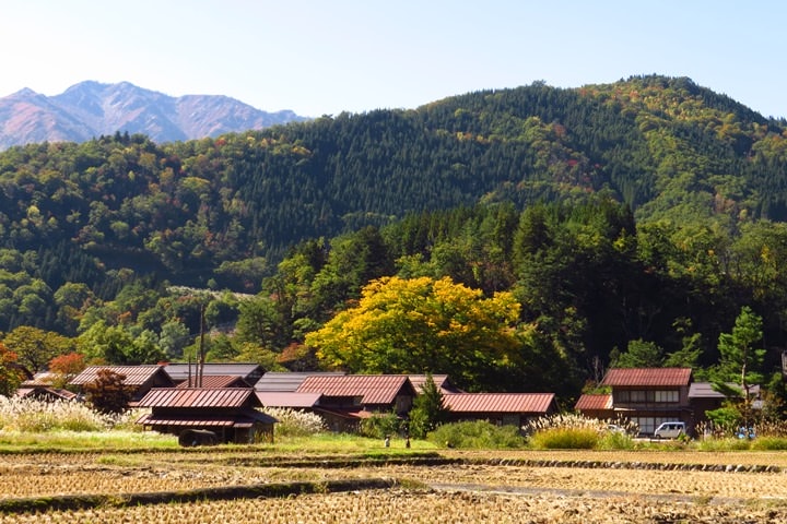 IMG_1026.JPG - 20151016:白川鄉合掌屋