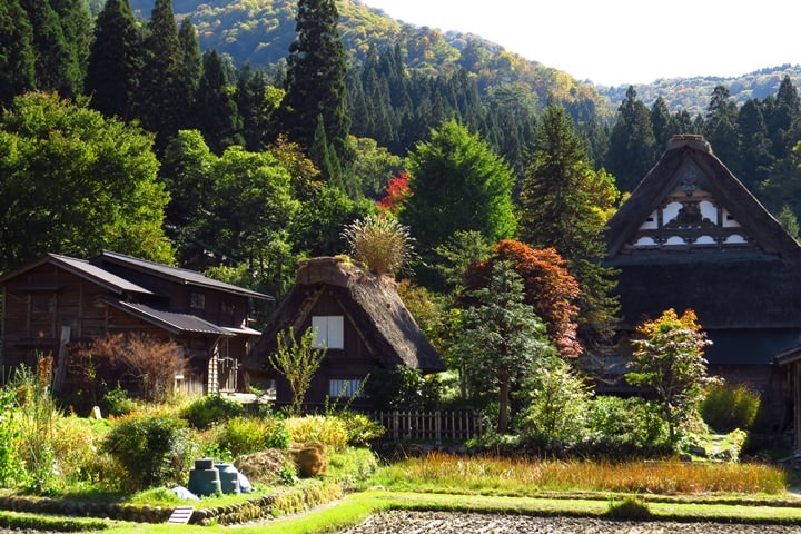IMG_1044.JPG - 20151016:白川鄉合掌屋