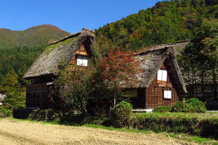 IMG_0969.JPG - 20151016:白川鄉合掌屋