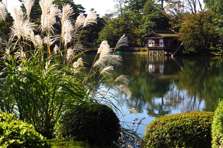 IMG_0880.JPG - 20151016:金澤兼六園