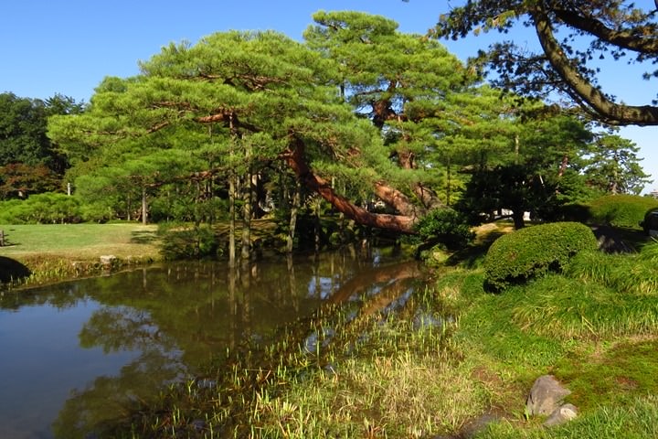 IMG_0885.JPG - 20151016:金澤兼六園