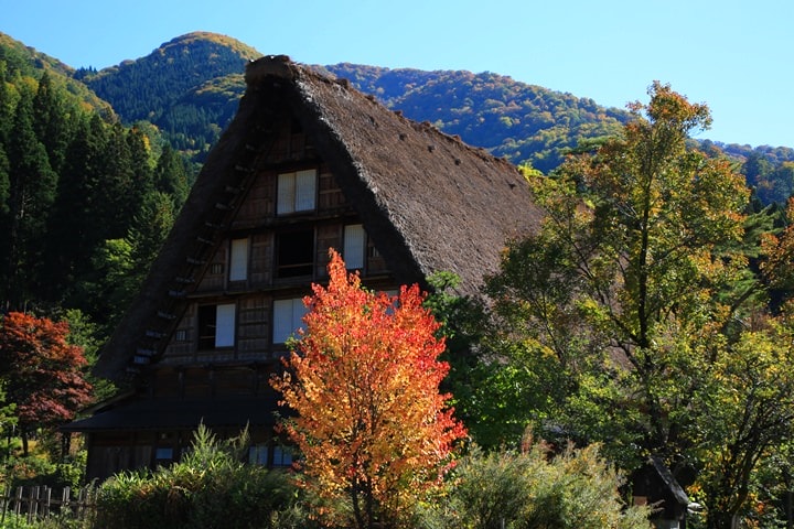 IMG_1048a.JPG - 20151016:白川鄉合掌屋