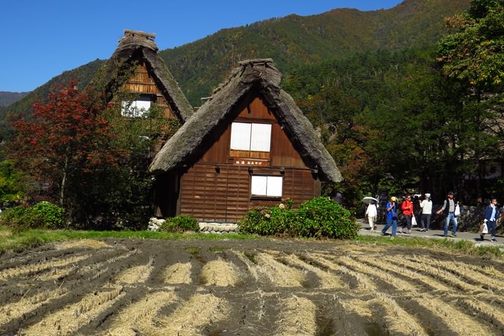 IMG_1057.JPG - 20151016:白川鄉合掌屋
