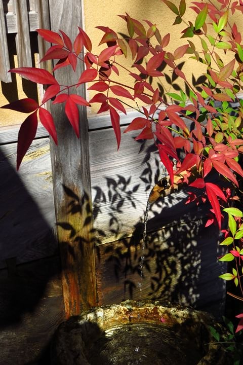 IMG_0922.JPG - 20151016:金澤兼六園