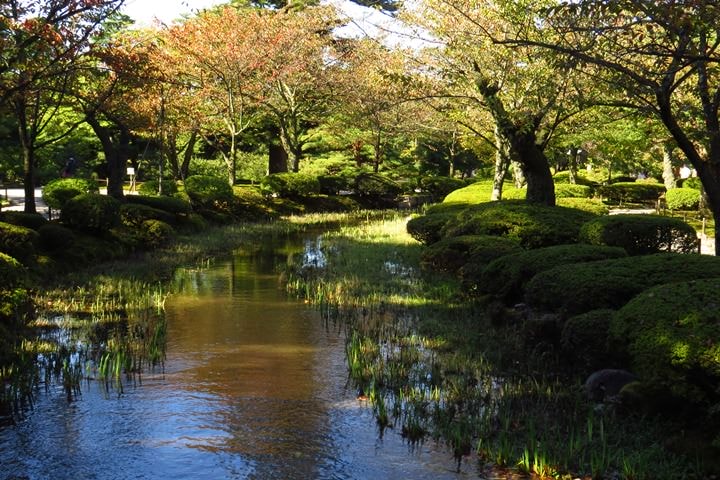 IMG_0909.JPG - 20151016:金澤兼六園