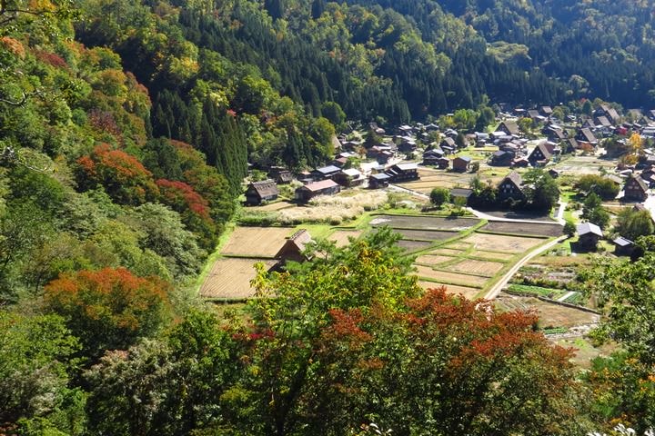 IMG_1001.JPG - 20151016:白川鄉合掌屋