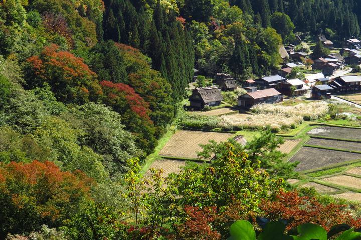 IMG_1003.JPG - 20151016:白川鄉合掌屋
