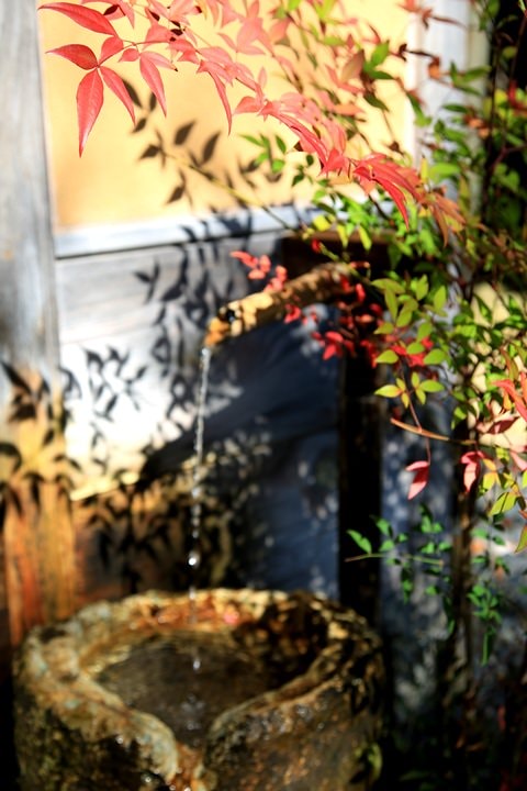 IMG_0923a.JPG - 20151016:金澤兼六園