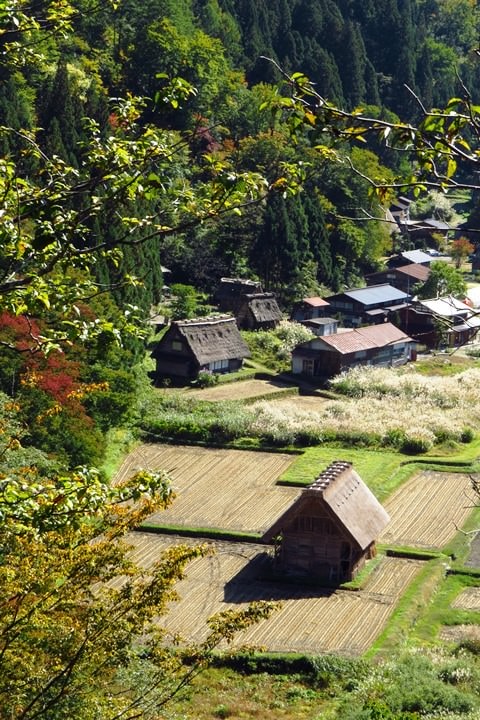 IMG_1017.JPG - 20151016:白川鄉合掌屋