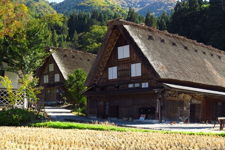 IMG_1055.JPG - 20151016:白川鄉合掌屋