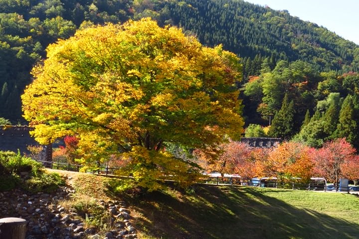 IMG_1061.JPG - 20151016:白川鄉合掌屋