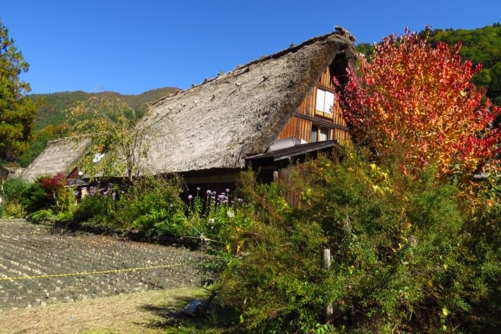 IMG_0979.JPG - 20151016:白川鄉合掌屋