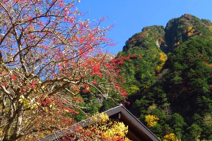 Day2–2：【日本長野】秋光金羽上高地