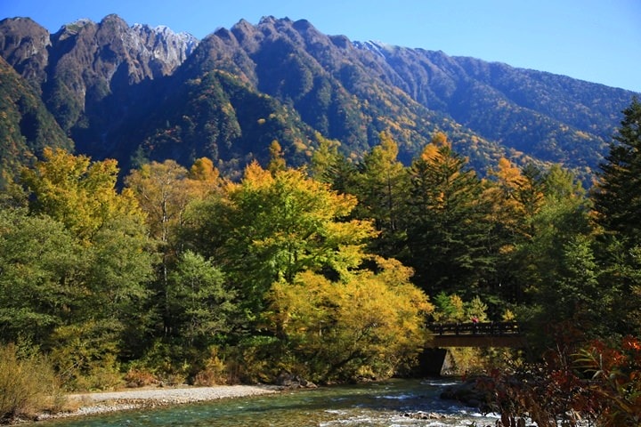 Day2–2：【日本長野】秋光金羽上高地