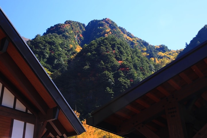 Day2–2：【日本長野】秋光金羽上高地