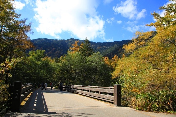 Day2–2：【日本長野】秋光金羽上高地